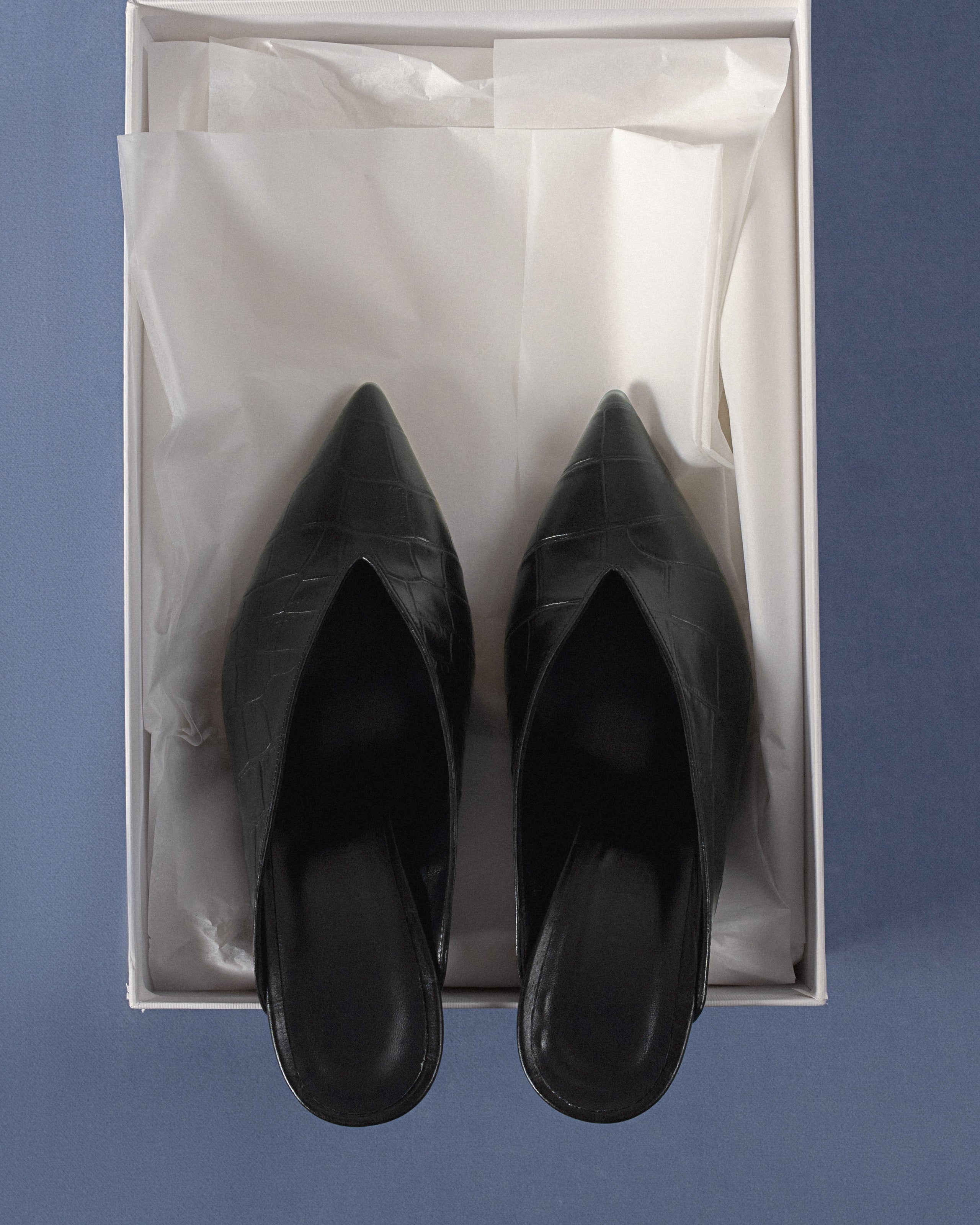 Pair of black mules in crocodile printed leather in a white box on a blue background